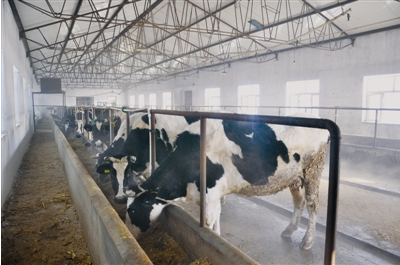 黑龍江齊齊哈爾富?？h光明乳業(yè) 一拖三加一 恒壓供水設(shè)備